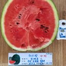 주당도가 네이버블로그