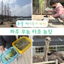명산꿩농장가든 | 파주 아이와 가볼만한곳 ‘우농타조농장’ 먹이 체험 & 한강 라면