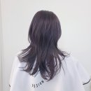 디자인진리