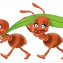 개미와베짱이 이미지