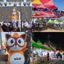 (유)경남교통 | 2026 봄축제 추천 진해 군항제 진해 벚꽃축제 후기