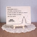 비비드마카롱 이미지