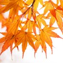 제주수흉부외과의원 이미지