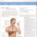 암의 진실 30 (소화기계 1) 이미지