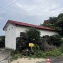GS25 서귀표선점 | 제주 표선 감성 숙소, 서귀포 에어비앤비 모호(MOHO) 바깥채 1박 후기