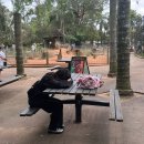 [🇦🇺호주] 페더데일 동물원에서만 7시간!? 오픈런, 쿼카&amp;왈라비 밥주기, 점심먹기 꿀팁 대방출