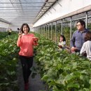 포승농장 이미지