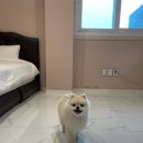 베러플레이스 키즈 풀빌라 네이버블로그