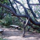 진중2리 마을회관 이미지