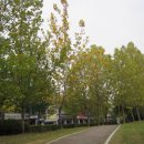 명륜동-10 이미지