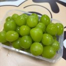 영덕하나약국 | 남친 첫 휴가🪖(10/31~11/4)