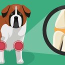 금성당약국 이미지