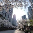 JS부동산 공인중개사 사무소 이미지