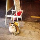 프린스치킨 이미지