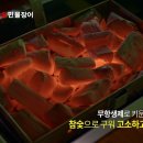 백마강 민물장어 이미지