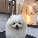 덕이미장원
