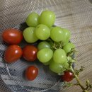 정안사우나 이미지