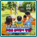 고깨비새싹카페 | 분리불안 걱정 끝! 서울숲 숲체험 어린이 봄 주말 자연 학습 총정리