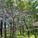 계남1리 이미지