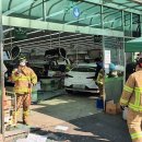 마트로마트 이미지