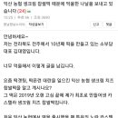 익산 농협 생크림 찹쌀떡 때문에 억울한 나날을 보내고 있습니다 이미지