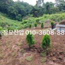 진안산소 이미지