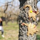 바람햇살농장 이미지