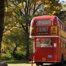 1954호텔 이미지