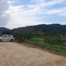 월하농장 이미지