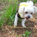 밀양농협 남명지점 이미지