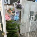 이마트24연수우성점 | 인천 24시 무인운영 꽃집 추천 - 백상꽃집 (위치, 가는법)