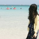 복돌이네 | 부지런하지만 게으른 나날들
