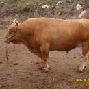 종화농장 이미지