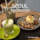 공릉 애견동반 카페 위플랜트위커피 내돈내산 후기