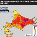 미쳐버린 일본 날씨 jpg 이미지
