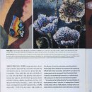 인제대학교(어방동 607) 이미지