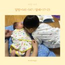 통팔아구 | [육아일기] 18개월 아기 언어 발달 현황, 첫째와 둘째 첫 만남, 네 가족 합체!