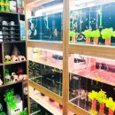 비즈아쿠아수족관 이미지