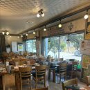 고창선운사풍천장어금정 | 고창 선운사 근처 장어 맛집 명가풍천장어 내돈내산 후기