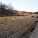 특구로27번길 이미지