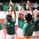 챔프 빌리어드 매일경제