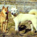 광장53호 이미지