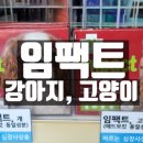 중앙대성약국 이미지