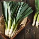 콘티넨탈호텔 이미지