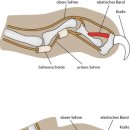 유성준동물병원 이미지
