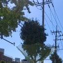 기동반-90 이미지