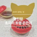 영진화학 | 초파리 없애는 법 | 쿠팡 영진팜 초파리 트랩 끈끈이 내돈내산 사용 후기