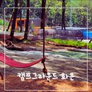 솔내음바람쉼터 | 숲속에서 야경 즐기는 "캠프그라운드 화온"