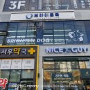 브라이튼독 이미지