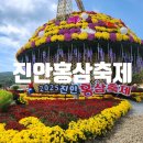 진안홍삼 | 아이와 가볼만한 축제 진안홍삼축제 티니핑싱어롱쇼 다녀온후기